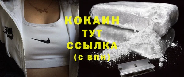крисы Арсеньев