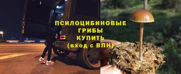 крисы Арсеньев