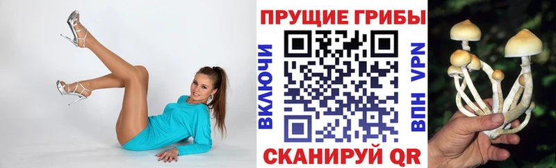 Псилоцибиновые грибы Cubensis  Киреевск 