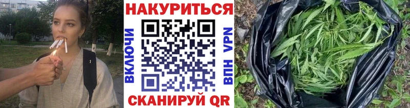 Шишки марихуана планчик  Киреевск 